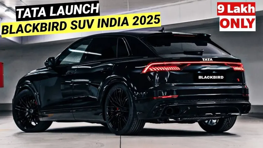 black bird tata car